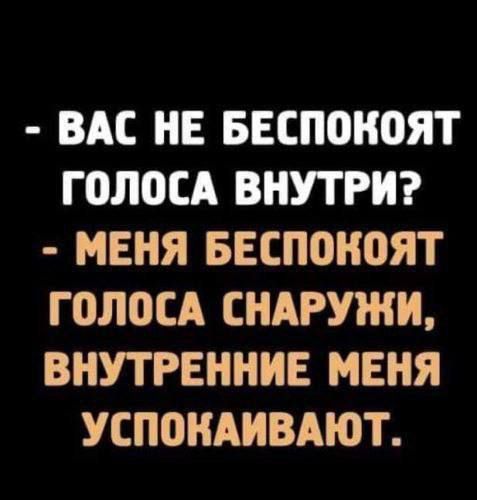 - ВАС НЕ БЕСПОКОЯТ ГОЛОСА ВНУТРИ?
- МЕНЯ БЕСПОКОЯТ ГОЛОСА СНАРУЖИ, ВНУТРЕННИЕ МЕНЯ УСПОКАИВАЮТ.