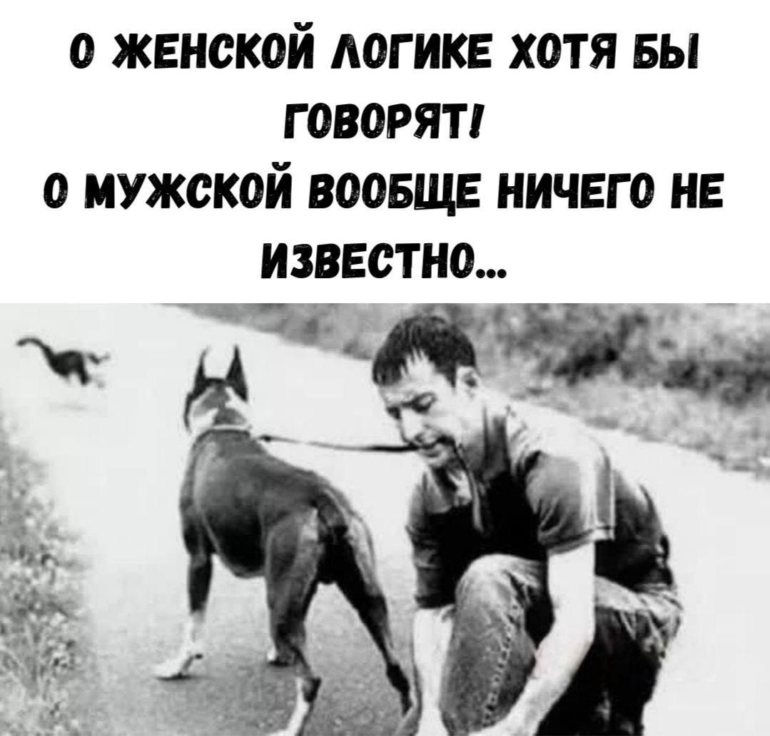 О ЖЕНСКОЙ ЛОГИКЕ ХОТЯ БЫ ГОВОРЯТ! О МУЖСКОЙ ВООБЩЕ НИЧЕГО НЕ ИЗВЕСТНО...