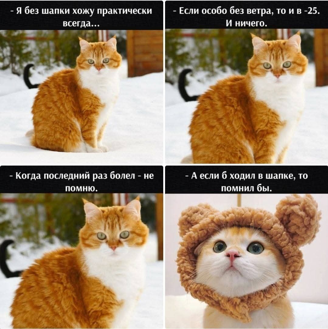 - я без шапки хожу практически всегда...
- Если особо без ветра, то и в -25. И ничего.
- Когда последний раз болел - не помню.
- А если б ходил в шапке, то помнил бы.