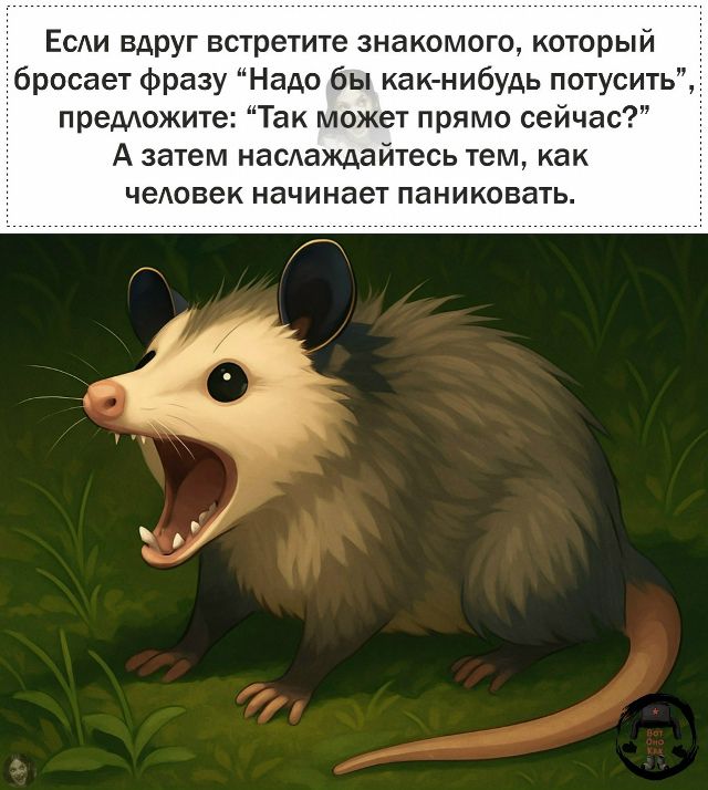Если вдруг встретите знакомого, который бросает фразу “Надо бы как-нiбудь потусить”, предложите: “Так может прямо сейчас?” А затем наслаждайтесь тем, как человек начинает паниковать.