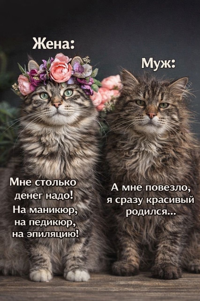 Жена:\nМне столько денег надо! На маникюр, на педикюр, на эпиляцию!\nМуж:\nА мне повезло, я сразу красивый родился...