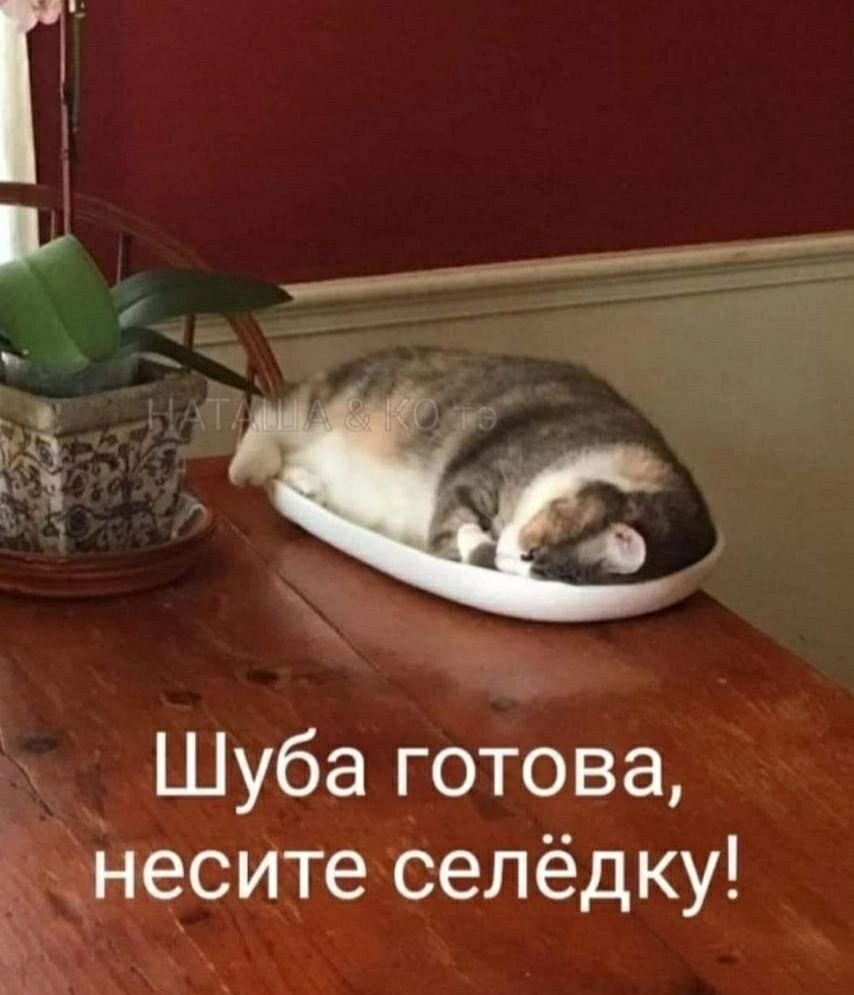 Шуба готова, несите селёдку!