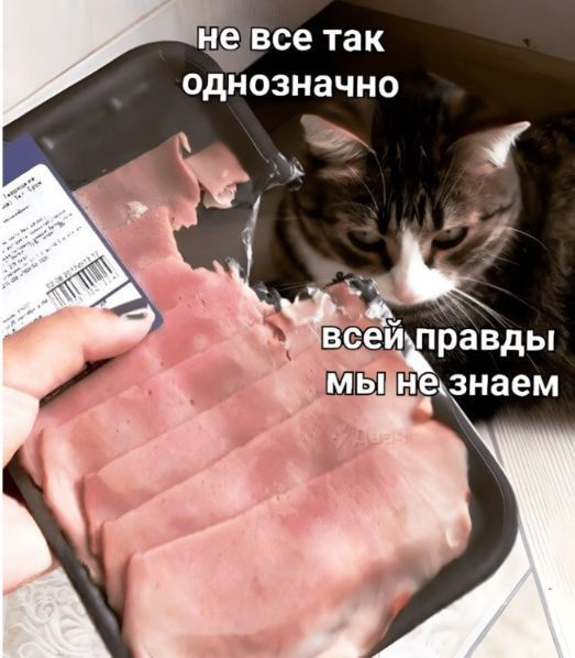 не все так однозначно
всей правды мы не знаем