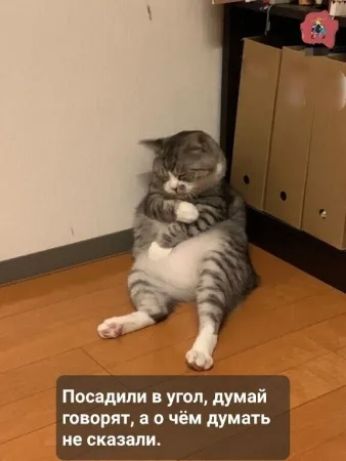 Посадили в угол, думают говорят, а о чём думать не сказали.