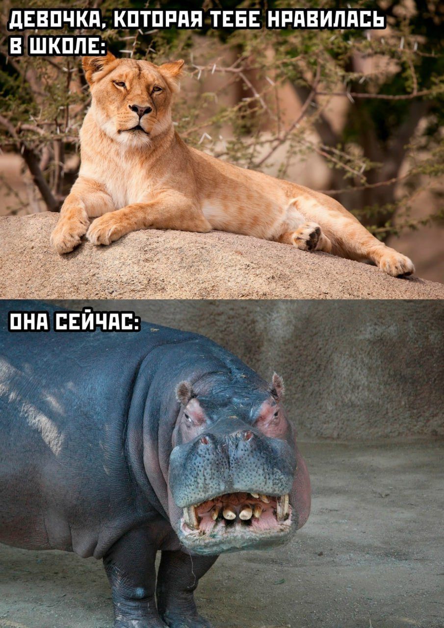 ДЕВОЧКА, КОТОРАЯ ТЕБЕ НРАВИЛАСЬ В ШКОЛЕ: ОНА СЕЙЧАС: