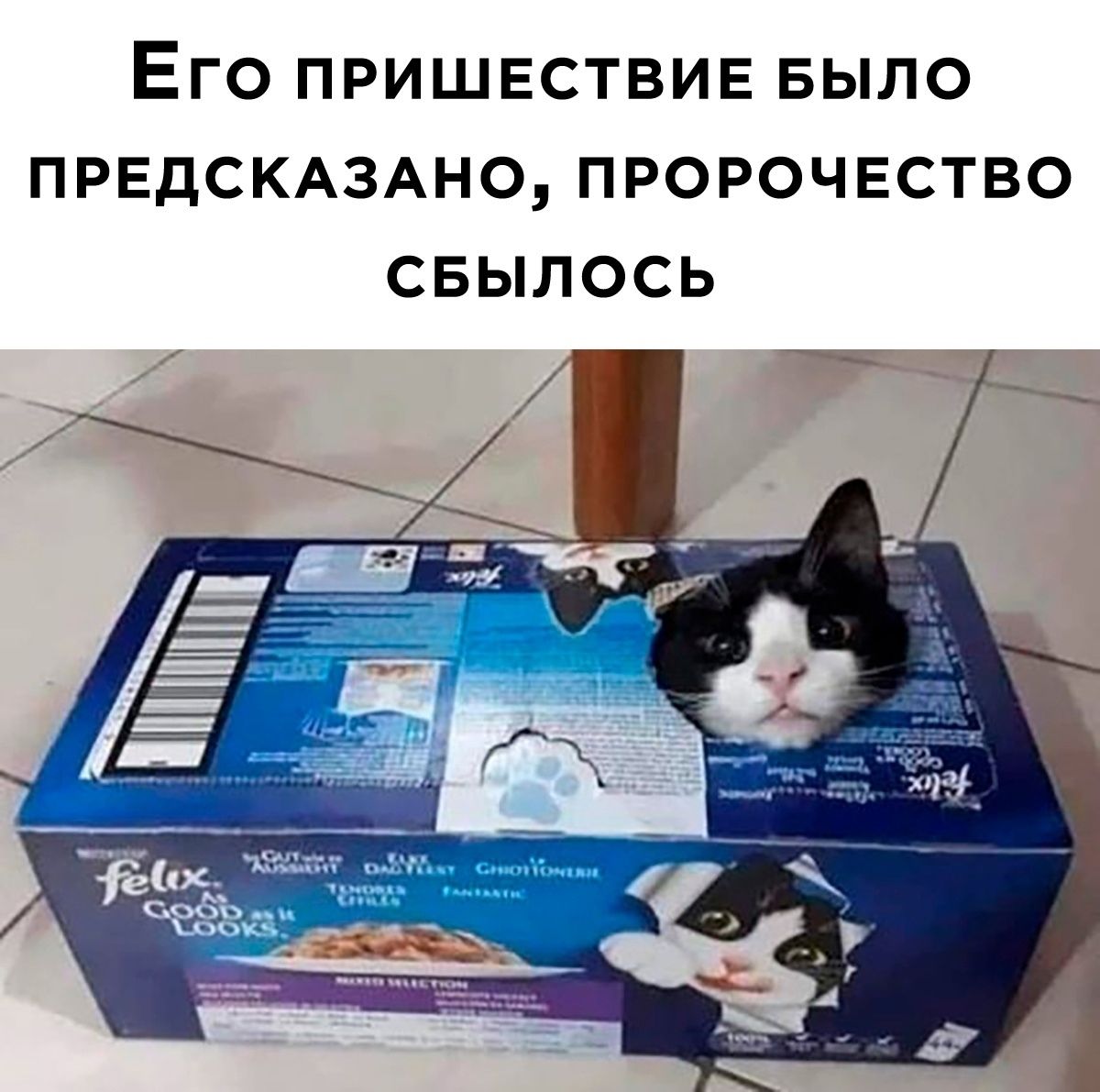 Его пришестие было предсказано, пророчество сбылось