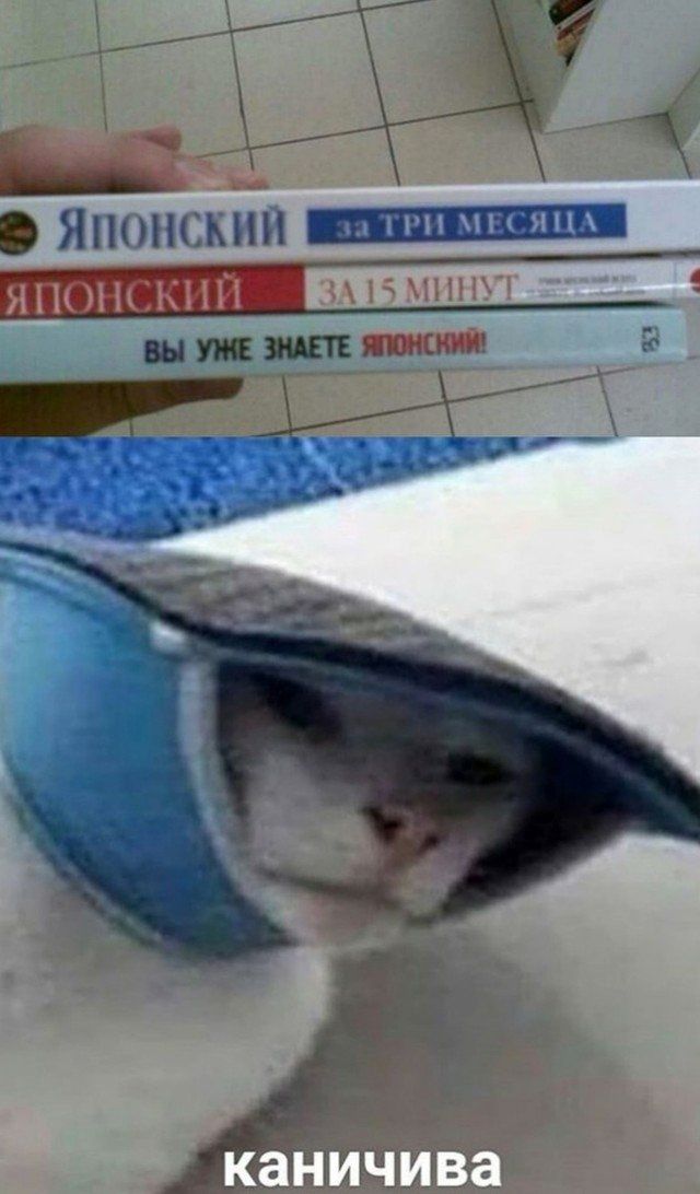 Японский за три месяца ЯПОНСКИЙ ЗА 15 МИНУТ ВЫ УЖЕ ЗНАЕТЕ ЯПОНСКИЙ! каничива