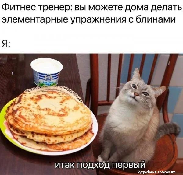 Фитнес тренер: вы можете дома делать элементарные упражнения с блинами\nЯ:\nитак подход первый