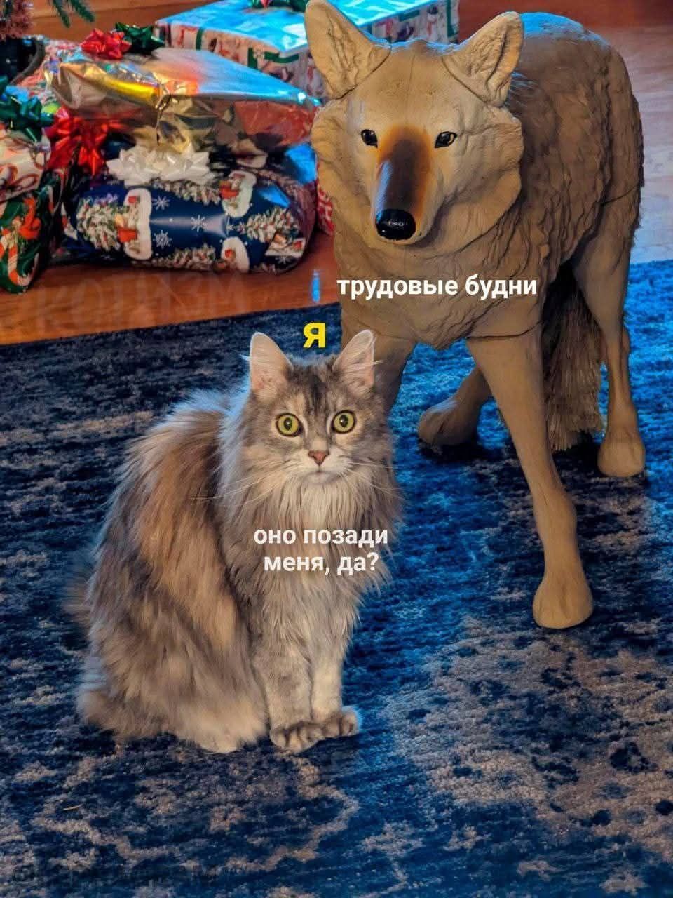 я трудовые будни
оно позади меня, да?
Я