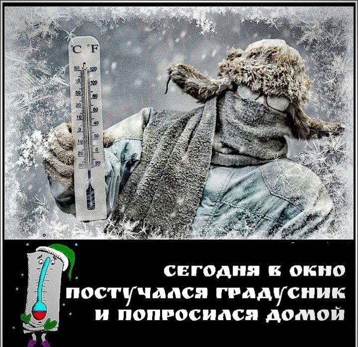 C F (термометр)\nСЕГОДНЯ В ОКНО ПОСТУЧАЛСЯ ГРАДУСНИК И ПОПРОСИЛСЯ ДОМОЙ