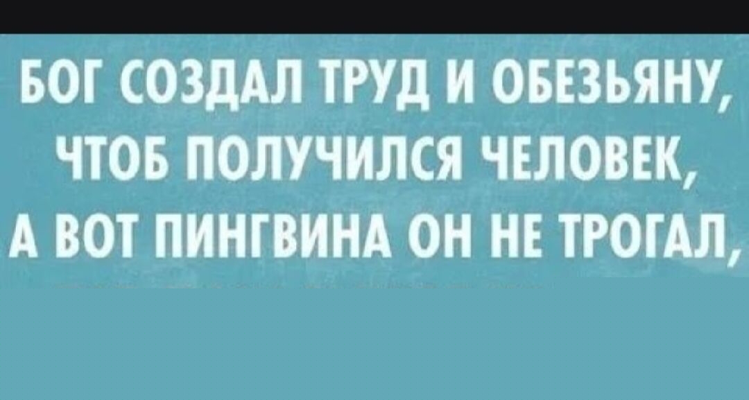 Бог создал труд, и обезьяну, чтобы получился человек, а вот пингвина он не трогал,