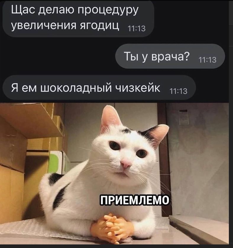 Сейчас делаю процедуру увеличения ягодиц\nТы у врача?\nЯ ем шоколадный чизкейк\nПРИЕМЛЕМО