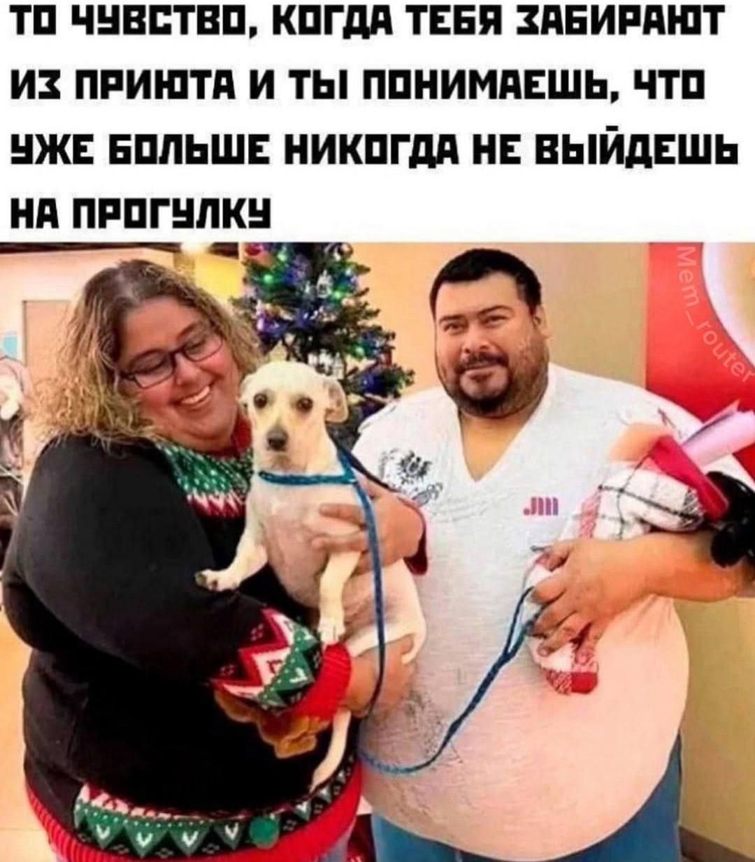 ТО ЧУВСТВО, КОГДА ТЕБЯ ЗАБИРАЮТ ИЗ ПРИЮТА И ТЫ ПОНИМАЕШЬ, ЧТО УЖЕ БОЛЬШЕ НИКОГДА НЕ ВЫЙДЕШЬ НА ПРОГУЛКУ