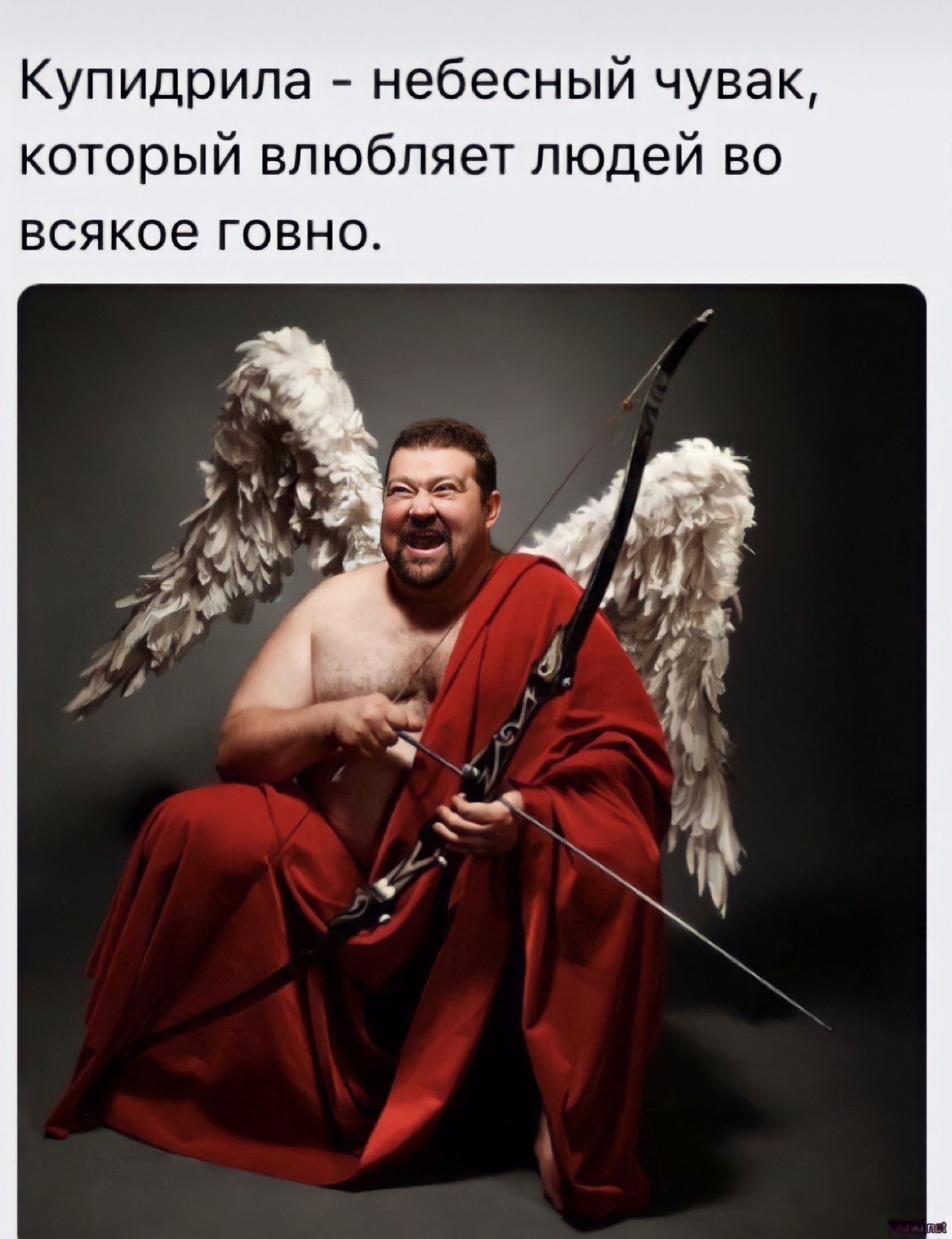 Купидрила - небесный чувачок, который влюбляет людей во всякое говно.