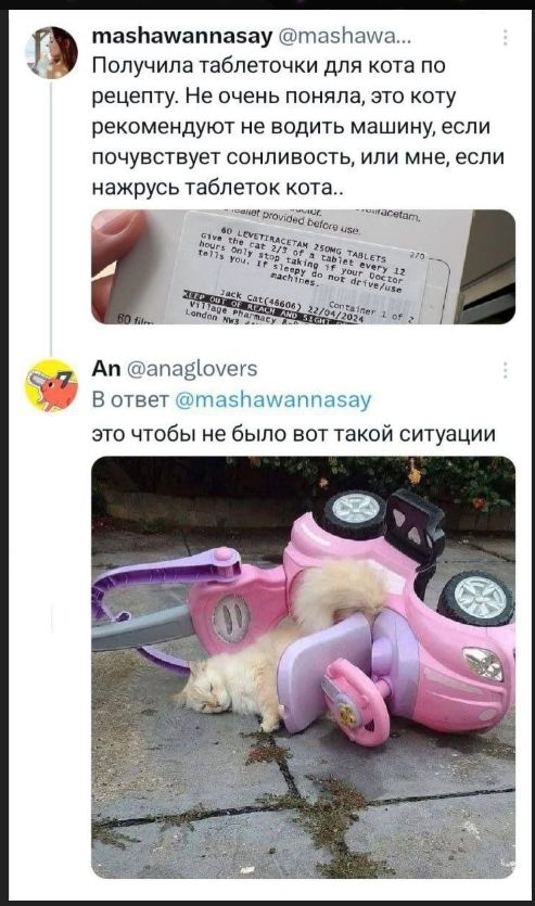 Получила таблеточки для кота по рецепту. Не очень поняла, это коту рекомендуют не водить машину, если почувствует сонливость, или мне, если нажрусь таблеток кота..

An @anaglovers В ответ @mashawannasay это чтобы не было вот такой ситуации