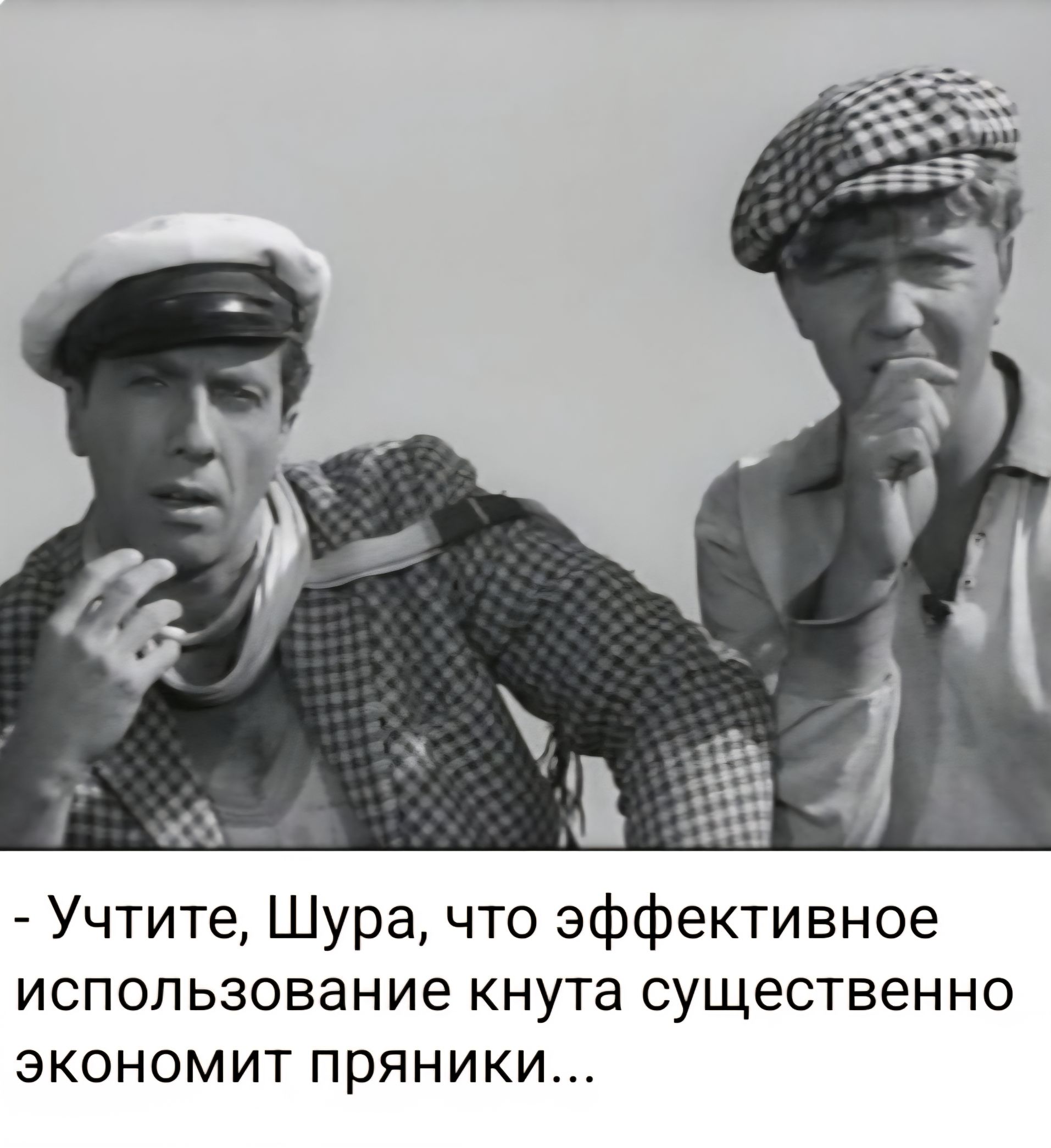 - Учтите, Шура, что эффективное использование knuta существенно экономит пряники...