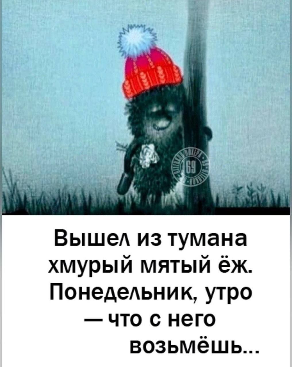 Вышел из тумана хмурый мятный ёж. Понедельник, утро — что с него возьмёшь...
