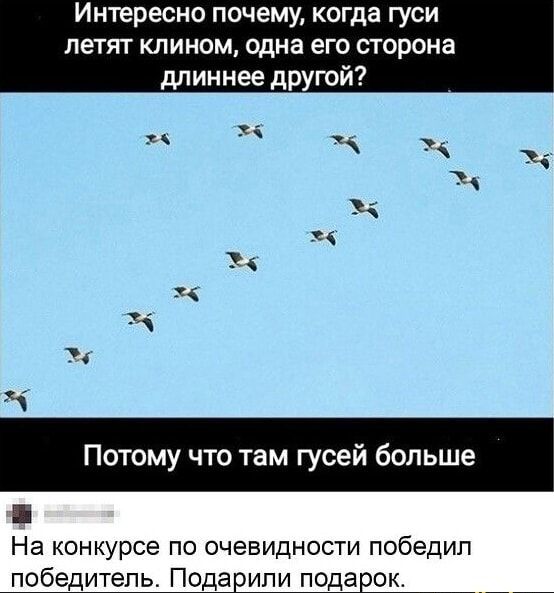 Интересно почему, когда гуси летят клином, одна его сторона длиннее другой? Потому что там гусей больше На конкурсе по очевидности победил победитель. Подарили подарок.
