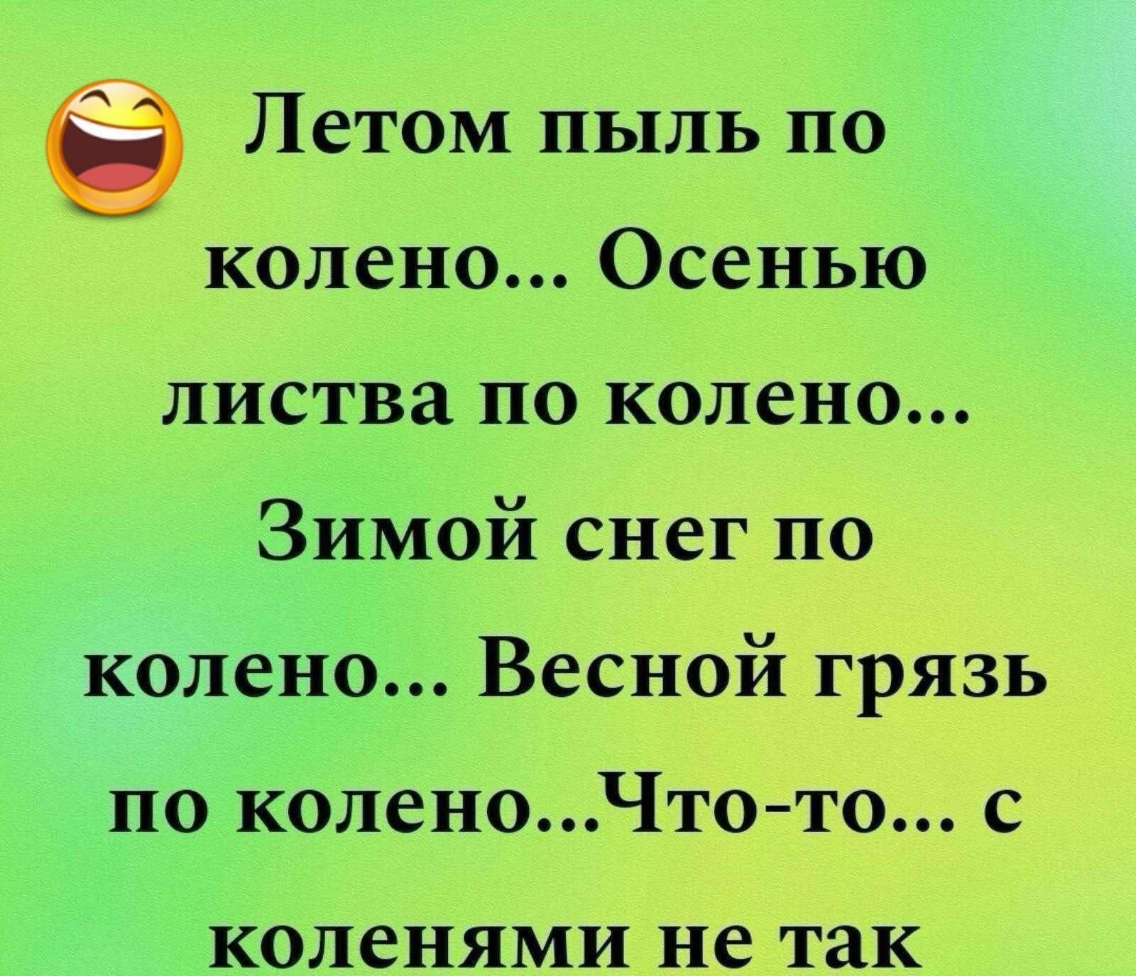😂 Летом пыль по колено... Осенью листья по колено... Зимой снег по колено... Весной грязь по колено... Что-то... с коленями не так