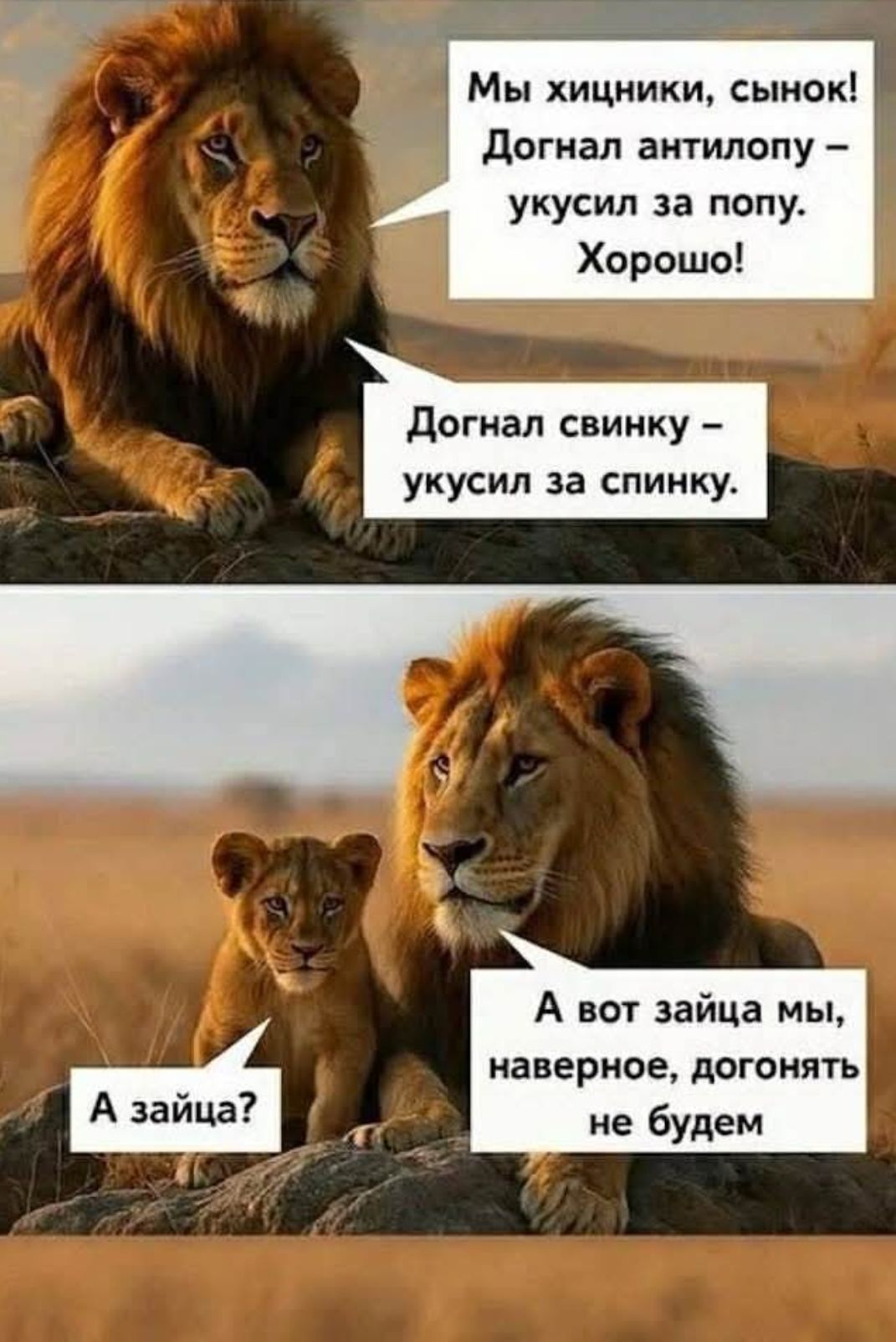 Мы хищники, сынок! Догнал антиллопу – укусил за попу. Хорошо!
Догнал свинку – укусил за спинку.
А зайца?
А вот зайца мы, наверное, догонять не будем