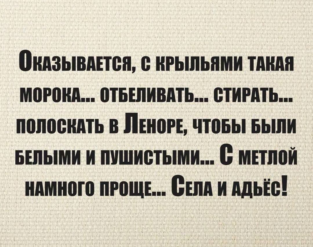 Оказывается, с крыльями такая морока... отбельивать... стирать... полоскать в Леноре, чтобы были белыми и пушистыми... С метлой намного проще... Села и адьесь!