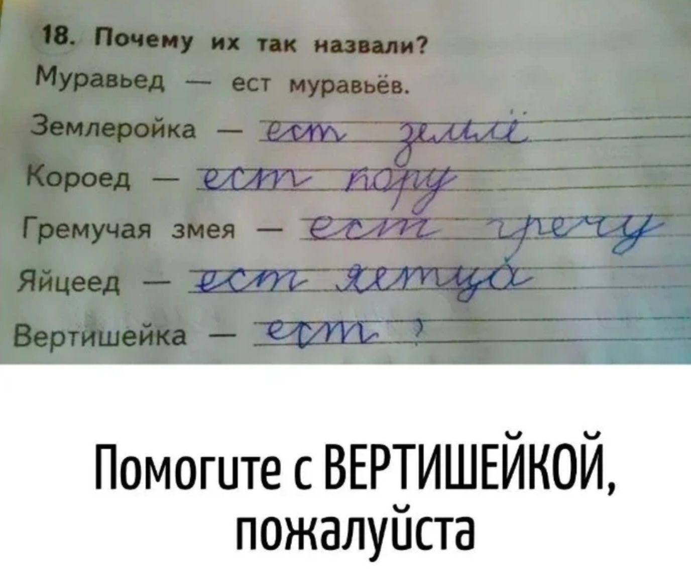 18. Почему их так назвали?
Муравьёв — есть муравьёв.
Землеройка — есть землеройки.
Короеd — есть короед.
Гремучая змея — есть гремучая змея.
Яйцеед — есть яйцееды.
Вертишейка — есть вертишейки.

Помогите с ВЕРТИШЕЙКОЙ, пожалуйста