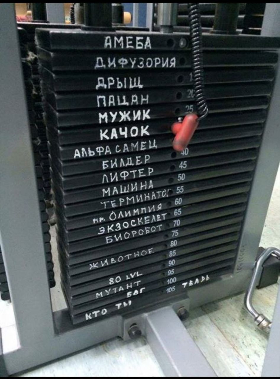 АМЕБА
ДИФФУЗОРИЯ
ДРЫШ
КАКЙ? 
УДИН
КАЧОК
МУЖИК
АЛЬФА САМЕЦ
БИЛДЕР
ЛИДЕР
МАШИНА
ТЕРМИНАТОР
ЭКЗОСКЕЛЕТ
ЖИВОТНОЕ
КТО ТЫ