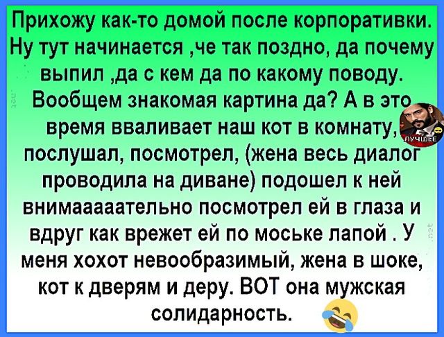 Прихожу как-то домой после корпоратива. Ну тут начинается, че так поздно, да почему выпил, да с кем да по какому поводу. Вообщем знакомая картина да? А в это время вваливает наш кот в комнату, послушал, посмотрел, (жена весь диалог проводила на диване) подошел к ней внимательно посмотрел ей в глаза и вдруг как врежет ей по моське лапой. У меня хохо