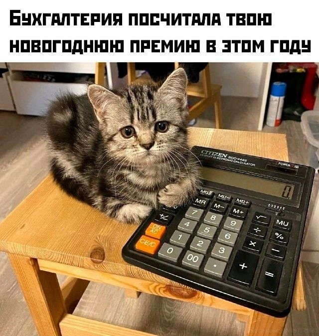 Бухгалтерия посчитала твою новогоднюю премию в этом году
