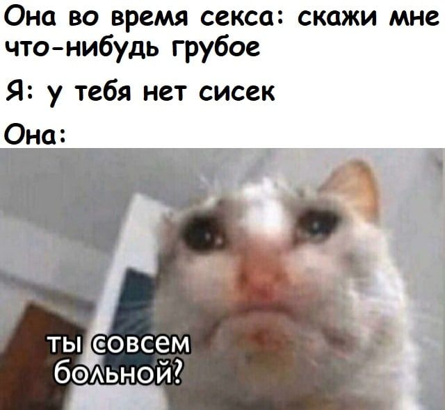 Она во время секса: скажи мне что-нибудь грубое
Я: у тебя нет сосек
Она:
Ты совсем больной?