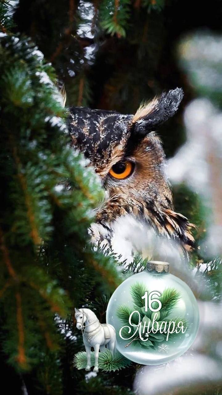 16 января