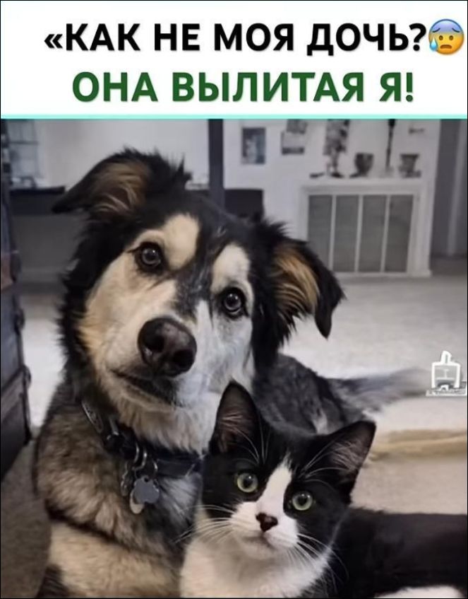 «КАК НЕ МОЯ ДОЧЬ? 😭 ОНА ВЫЛИТАЯ Я!»