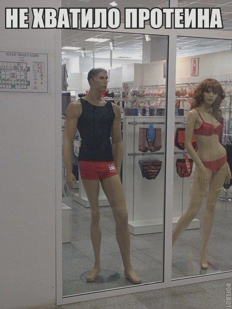 НЕ ХВАТИЛО ПРОТЕИНА