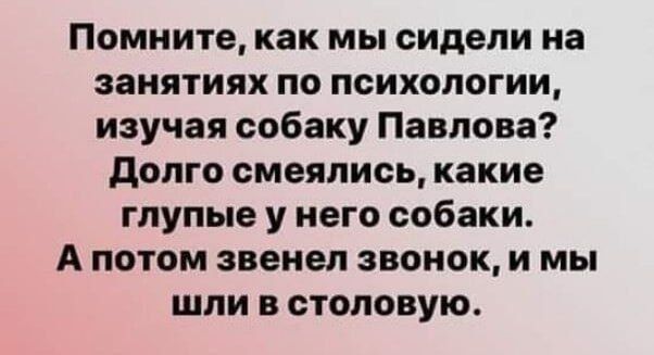 Помните, как мы сидели на занятиях по психологии, изучая собаку Павлова? Долго смеялись, какие глупые у него собаки. А потом звенел звонок, и мы шли в столовую.