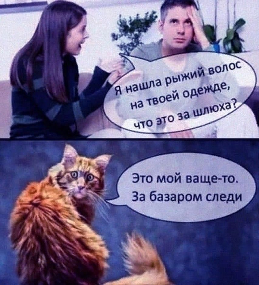 Я нашла рыжий волос на твоей одежде, что это за шлюха?
Это мой ваще-то. За базаром следи.