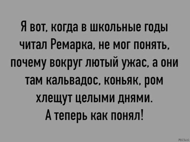 Я вот, когда в школьные годы читал Ремарка, не мог понять, почему вокруг лютый ужас, а они там кальвадос, коньяк, ром хлешут целыми днями. А теперь как понял!