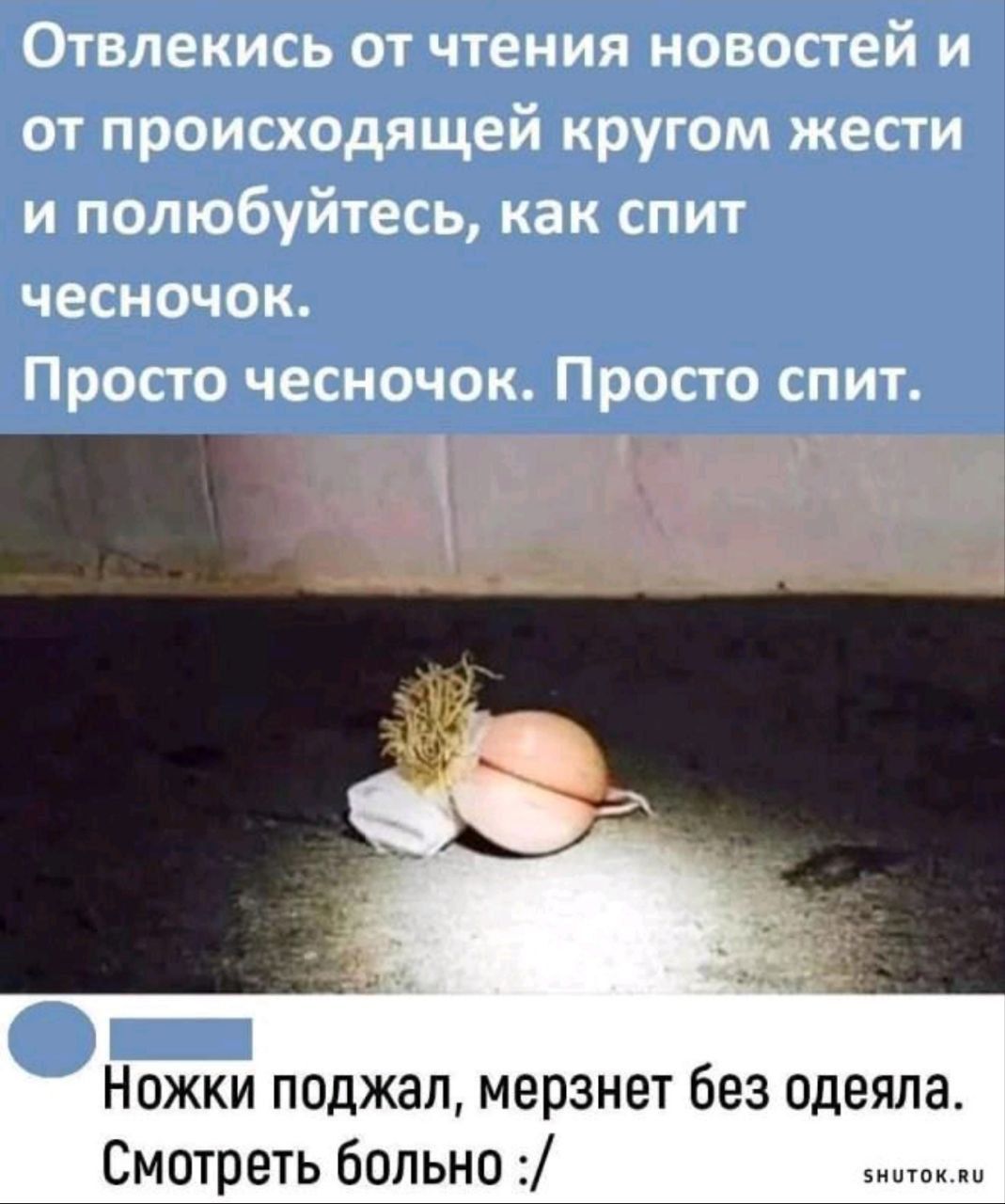 Отвлекитесь от чтения новостей и от происходящей кругом жесты и полюбуйтесь, как спит чесночок. Просто чесночок. Просто спит. Ножки поджал, мерзнет без одеяла. Смотреть больно :/