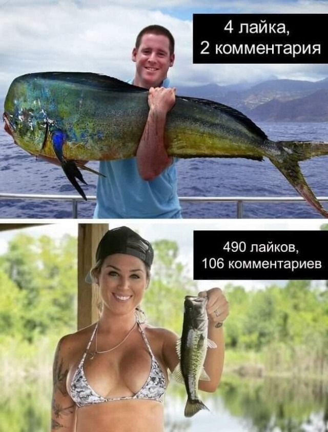 4 лайка, 2 комментария
490 лайков, 106 комментариев