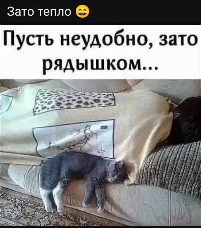 Зато тепло 😁
Пусть неуютно, зато рядомшком...