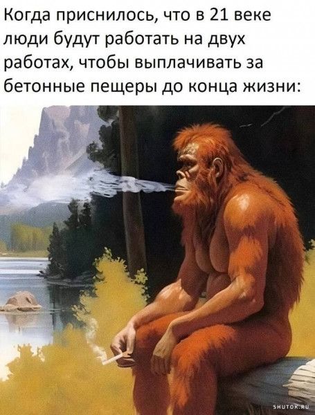 Когда приснилось, что в 21 веке люди будут работать на двух работах, чтобы выплачивать за бетонные пещеры до конца жизни:
