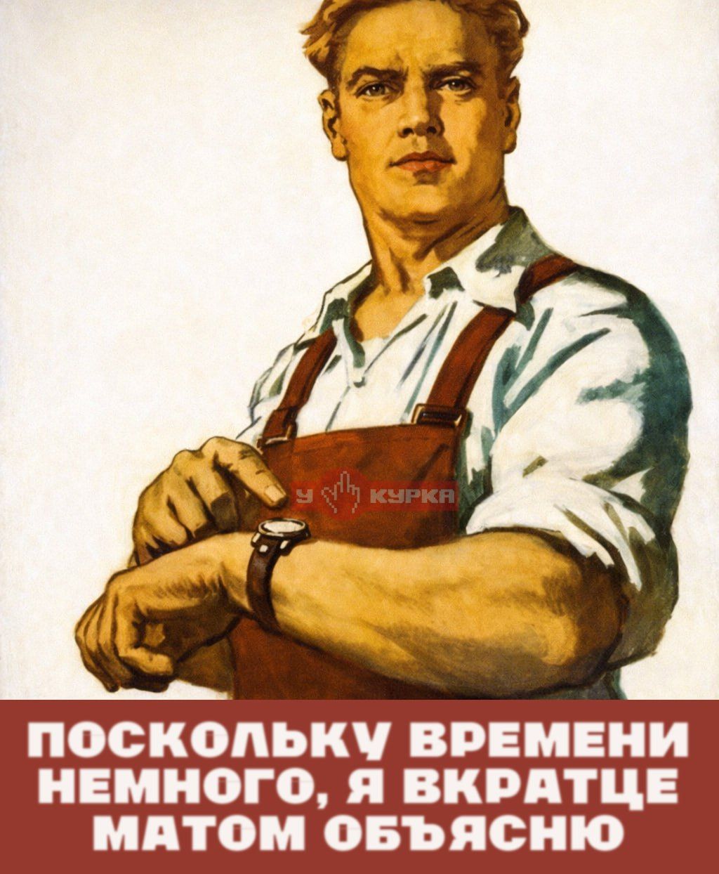 ПОСКОЛЬКУ ВРЕМЕНИ НЕМНОГО, Я ВКРАТЧЕ МАТОМ ОБЪЯСНЮ
(на фартуке надпись: КУРКА)