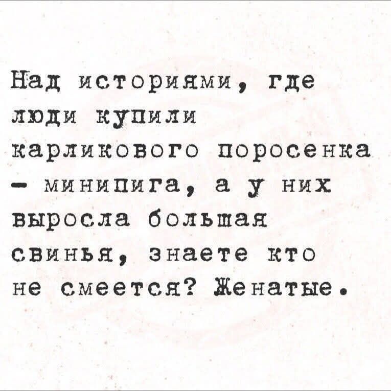Над историями, где люди купили карликового поросенка - мининибига, а у них выросла большая свинья, знаете кто не смеется? Женатые.