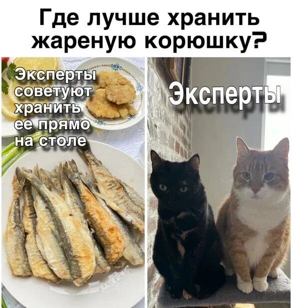 Где лучше хранить жареную корюшку?
Эксперты советуют хранить ее прямо на столе
Эксперты