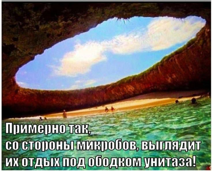 Примерно так, со стороны микробов, выглядит их отдых под ободком унитаза!