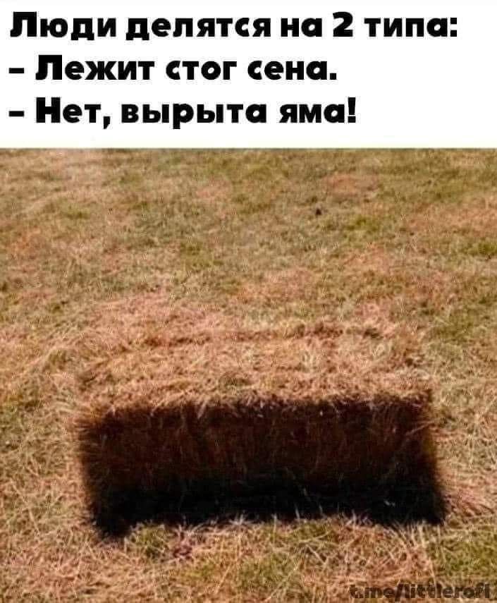 Люди делятся на 2 типа:
- Лежит стог сена.
- Нет, вырыта яма!