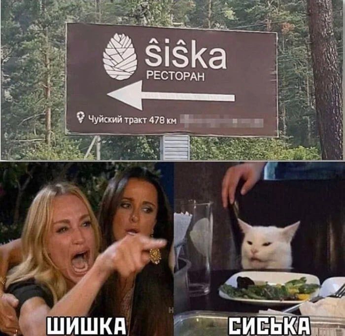 síška РЕСТОРАН
Чуйский тракт 478 км
ШИШКА
СИСЬКА