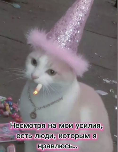 Несмотря на мои усилия, есть люди, которым я нравится..