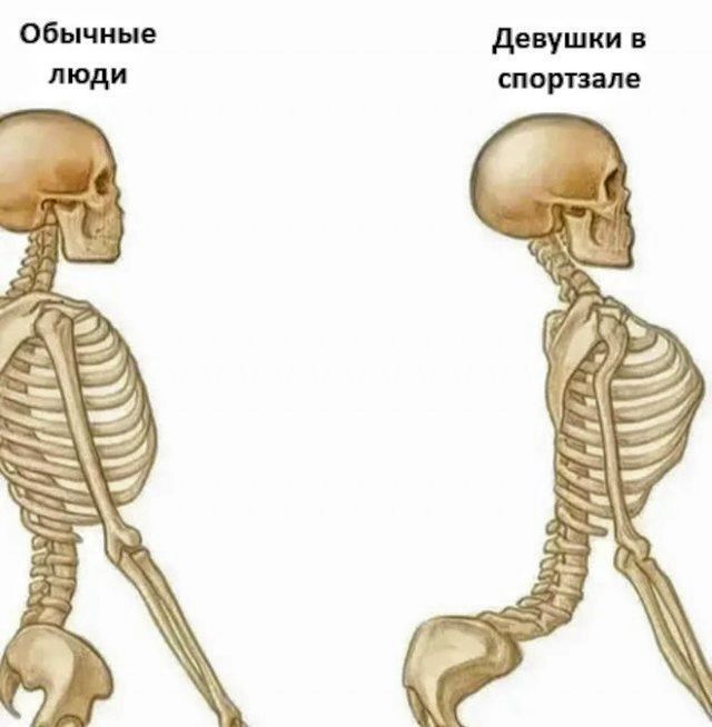 Обычные люди
Девушки в спортзале