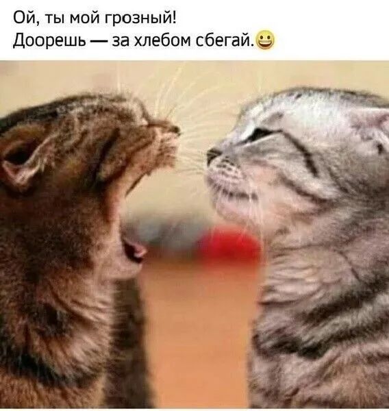 Ой, ты мой грозный! Доорешь — за хлебом сбегай.