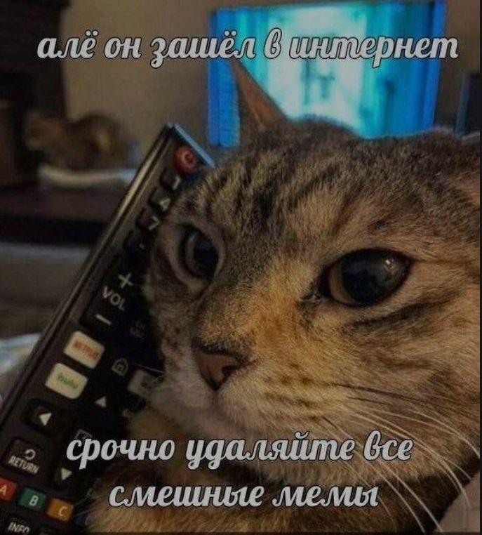 алё он зашёл в интернет
срочно удаляйте все смешные мемы